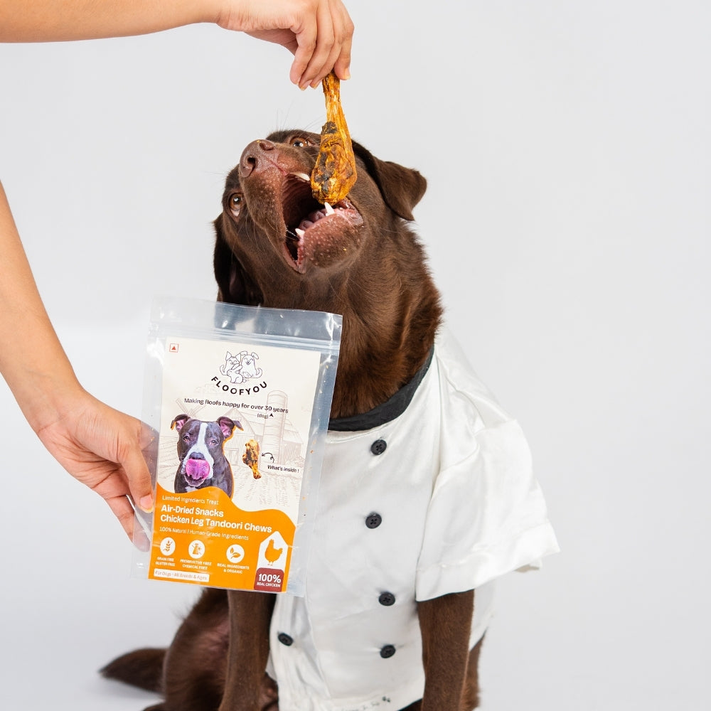 Floofyou Air Dried Chicken Leg Tandoori Crunchy Dental Chew Dog Treats