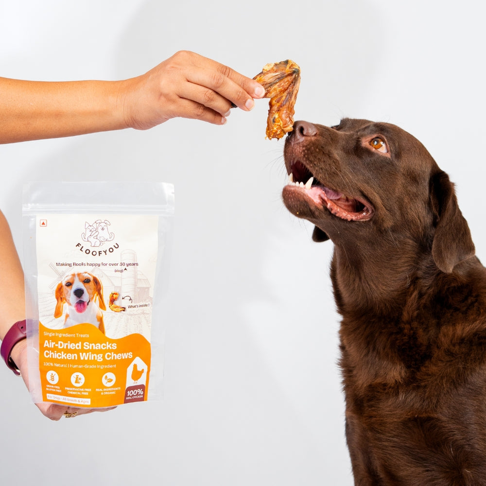Floofyou Air Dried Chicken Wings Crunchy Dental Chew Dog Treats