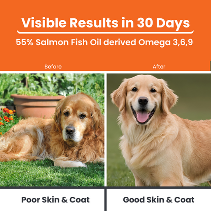 Lickicious Skin & Coat Syrup with Salmon Oil Omega 3 6 9 for Dogs & Cats