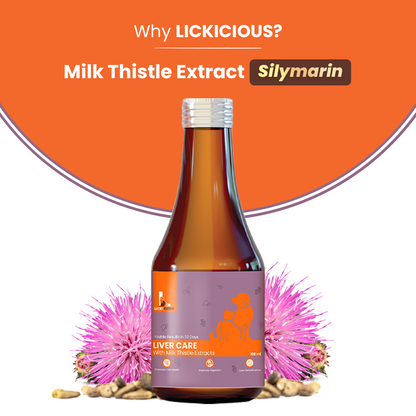 Lickicious Chicken Flavour Liver Care Syrup for Liver Support & Liver Detox for Dogs & Cats