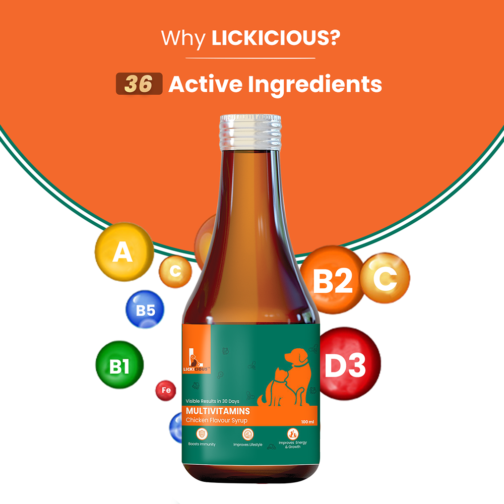 Lickicious Chicken Flavour Multivitamin Syrup for Dogs & Cats