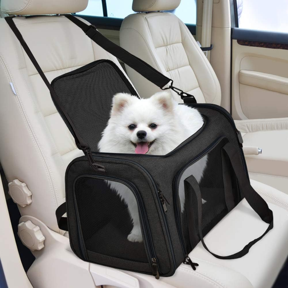 KUTKUT Soft Sided Airline Approved Foldable Travel Carrier for Small Dogs & Cat (Black)