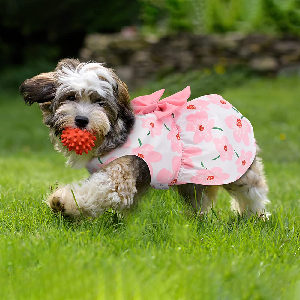 KUTKUT Cute Floral Pattern with Lovely Bow Dress for Small Dogs & Cats