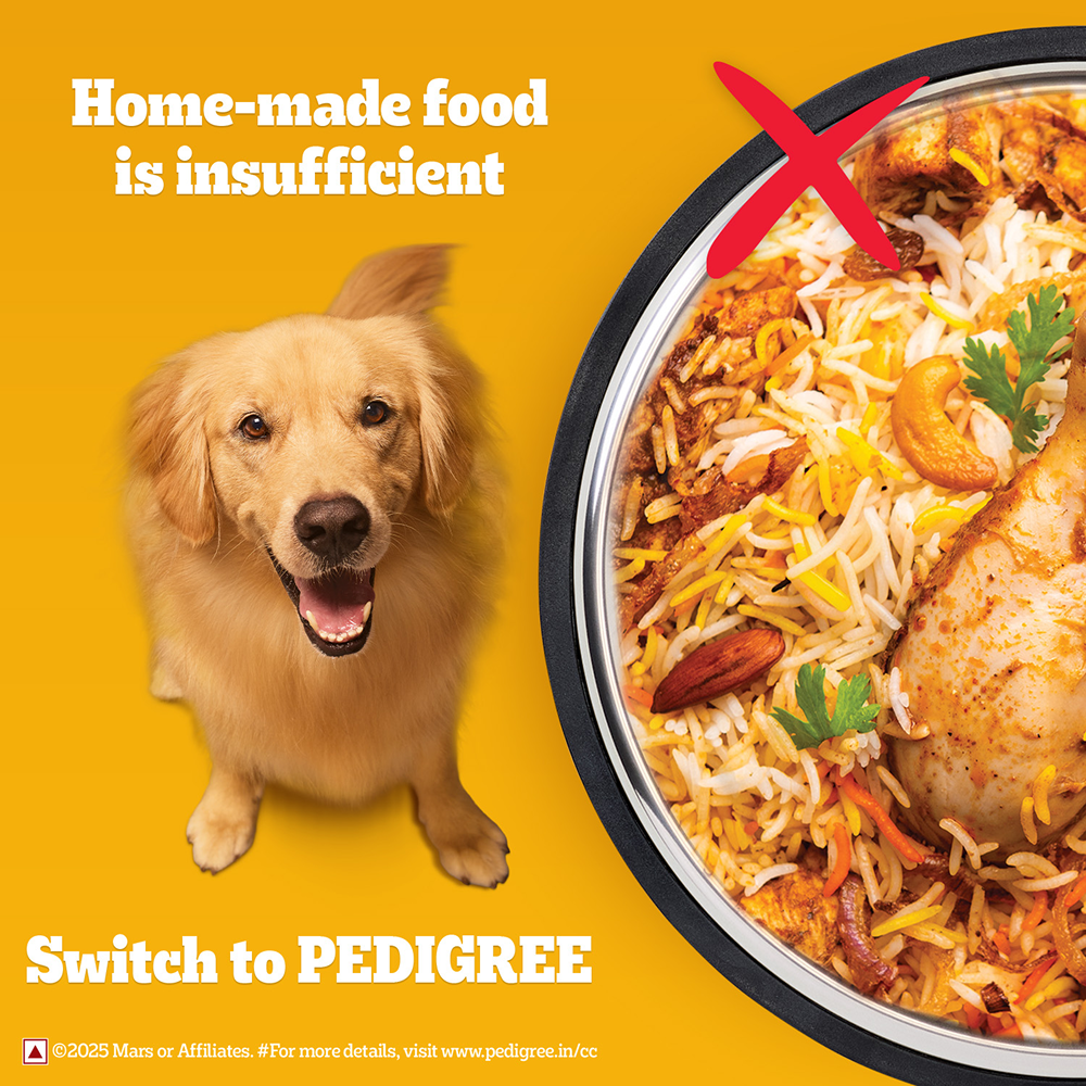 Pedigree Chicken Biryani Flavour Adult Dog Dry Food