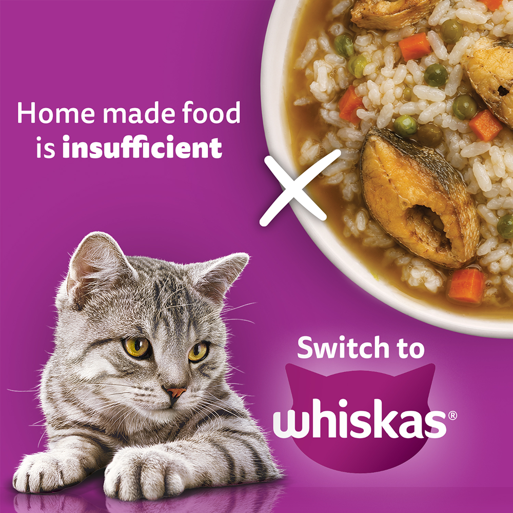 Whiskas Catla Fish Flavour Adult Cat Dry Food