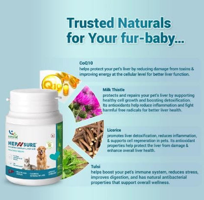 Natural Remedies Hep N sure Tablets for Dogs and Cats
