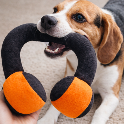 Pawgypets Headphone Plush Toy for Dogs