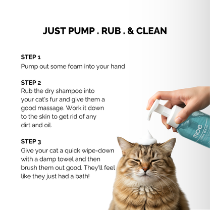 Moe Puppy Cleansing & Conditioning Foam Shampoo for Cats