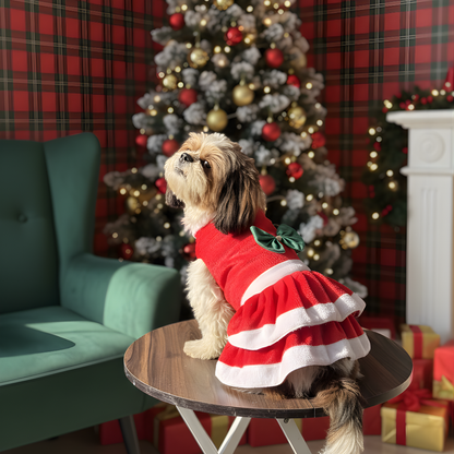 Pawgypets Christmas Dress for Dogs