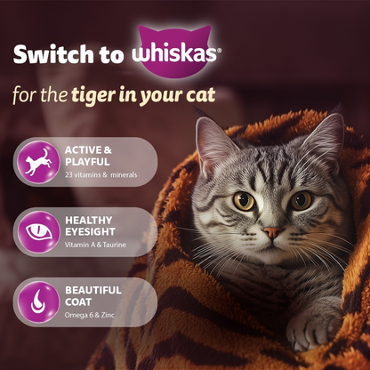 Whiskas Adult Cat Food Combo |Ocean Fish Dry & Salmon in Gravy Wet