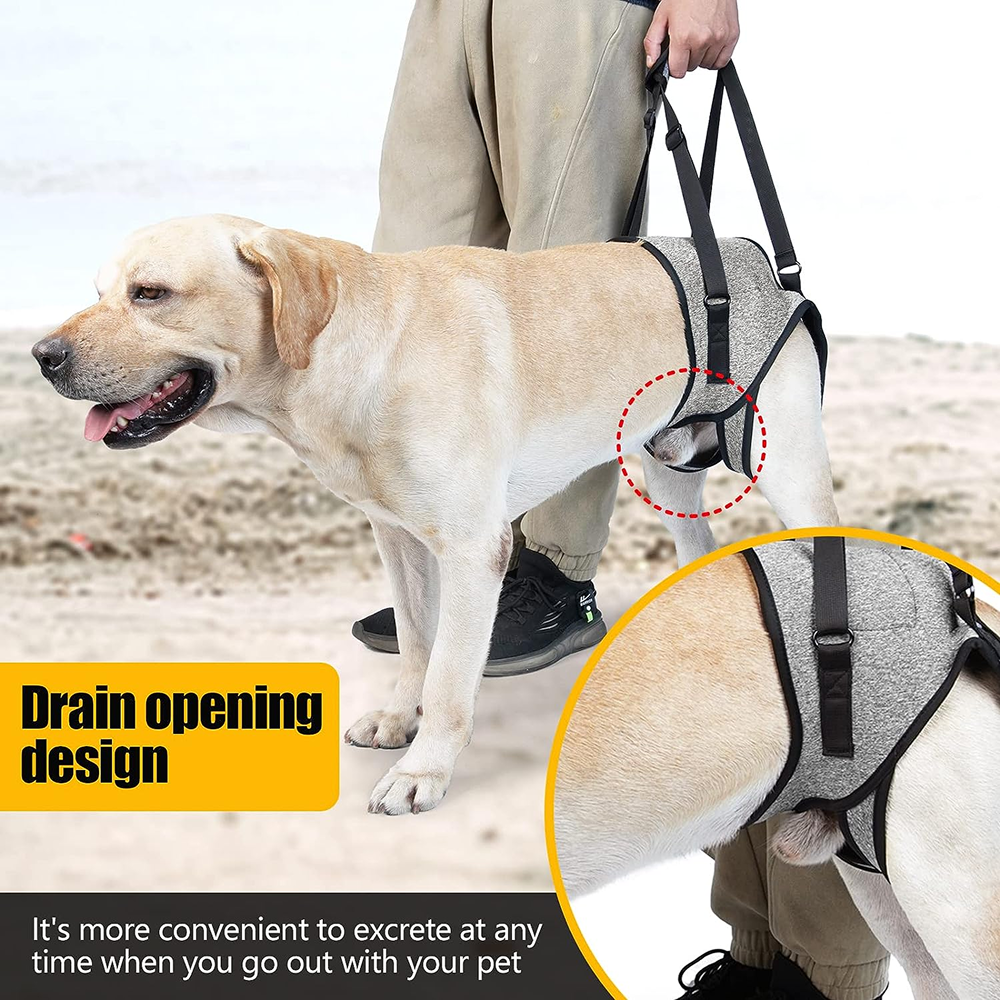 KUTKUT Rehabilitation Sling Hind Limb Support Lift Harness for Dogs (Grey)
