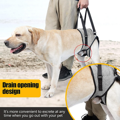 KUTKUT Rehabilitation Sling Hind Limb Support Lift Harness for Dogs (Grey)