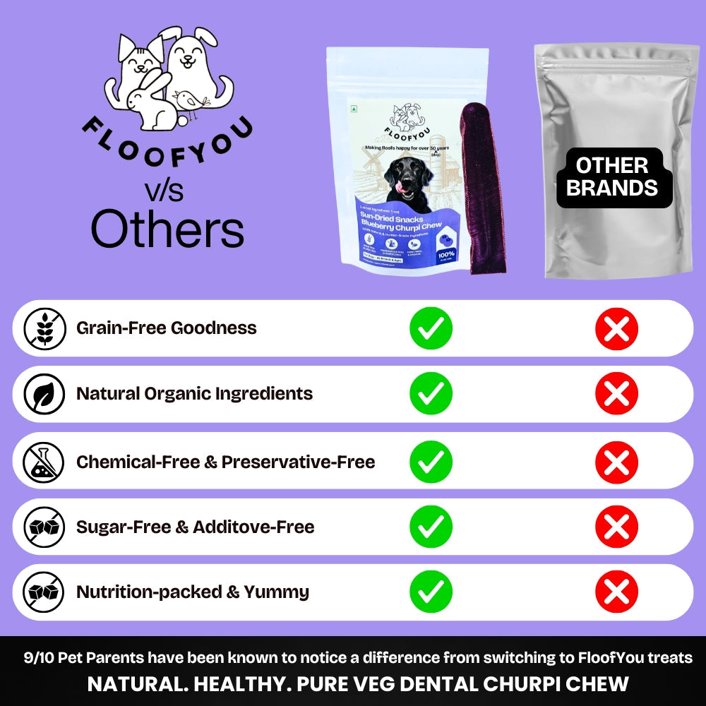 Floofyou Sun Dried Pure Veg Blueberry Yak Chew Bars Dental Dog Treats