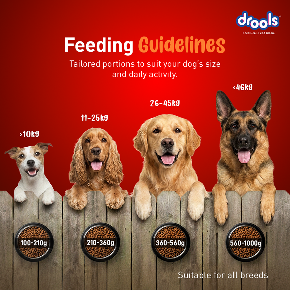 Drools Turkey and Pumpkin Adult Dog Dry Food