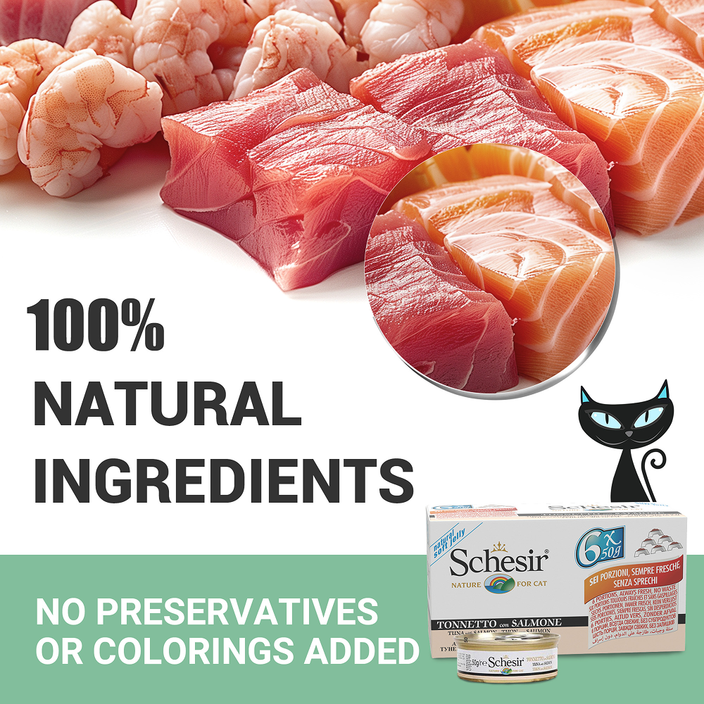 Schesir Tuna Whole Meat Salmon Rice in Jelly Adult Cat Wet Food