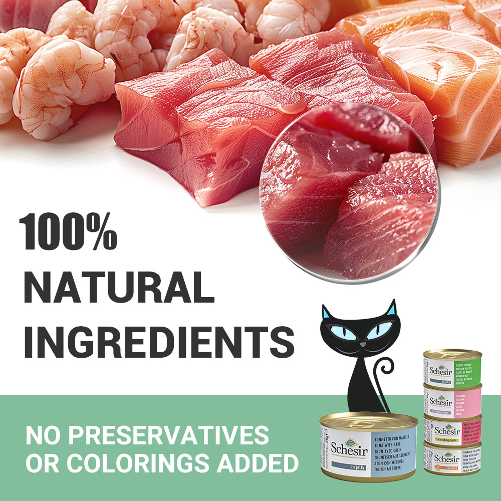 Schesir Tuna Whole Meat with Hake in Jelly Cat Wet Food