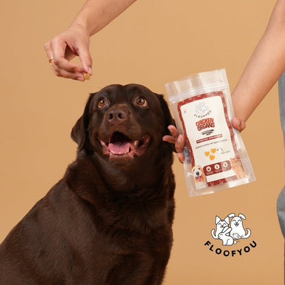 Floofyou Chicken Organs Oven Baked Cookie Dog Treats
