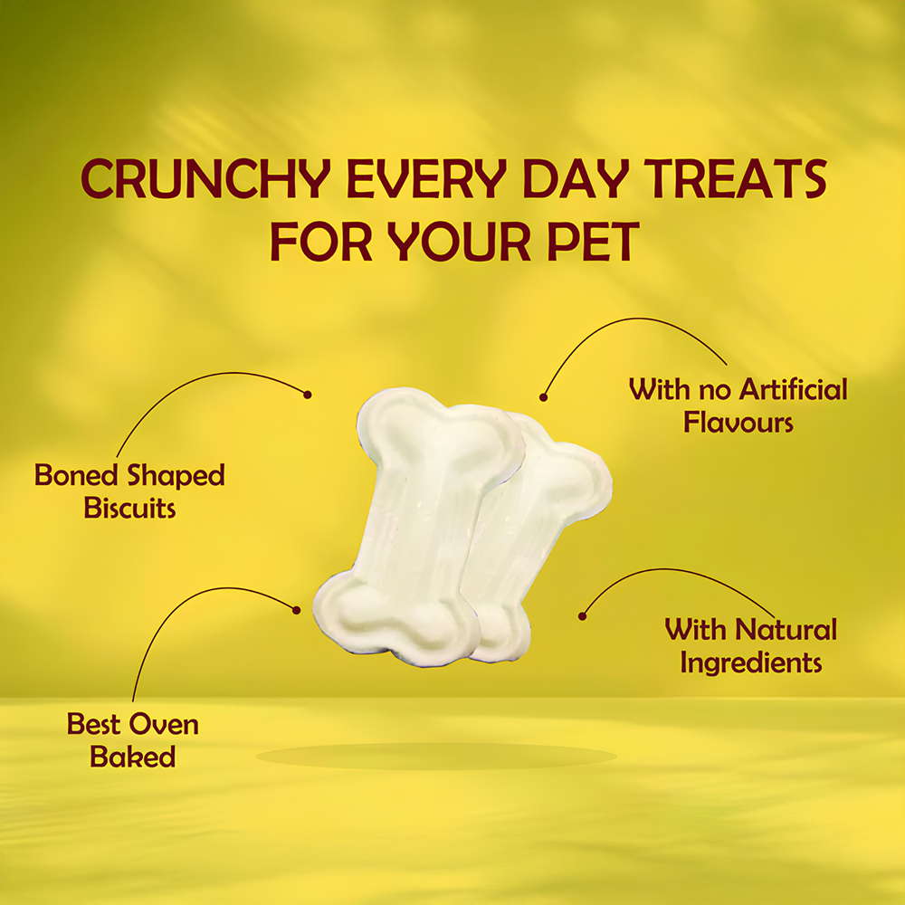Nootie Spinach & Cheese Flavour Veg Biscuits Adult Dog Treats
