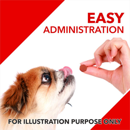 FG - Drools Absolute Calcium Dog Supplement Tablets