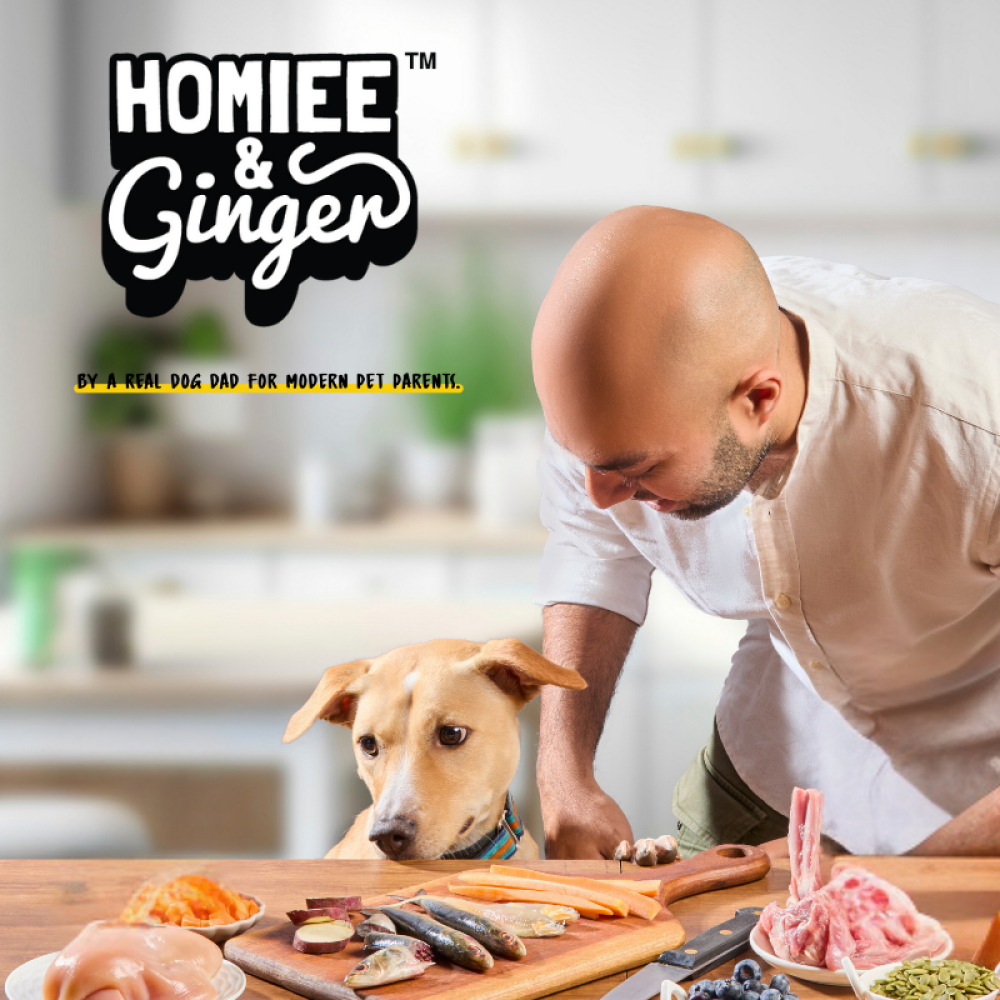 Homiee & Ginger Power Bowl Surf & Turf, Fish Fiesta and Chicken & Barley Fresh Food for Dogs Combo