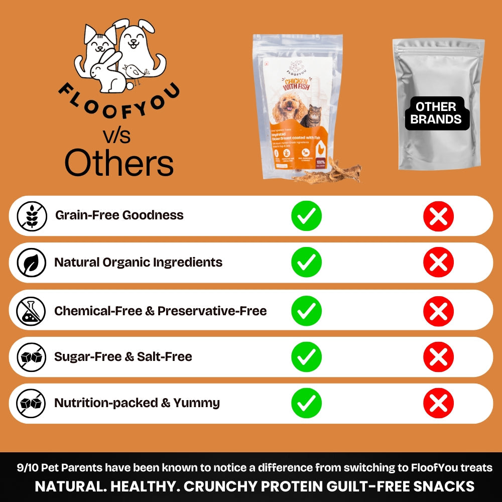 Floofyou Air Dried High Protein Chicken with Fish Jerky Dog and Cat Treats