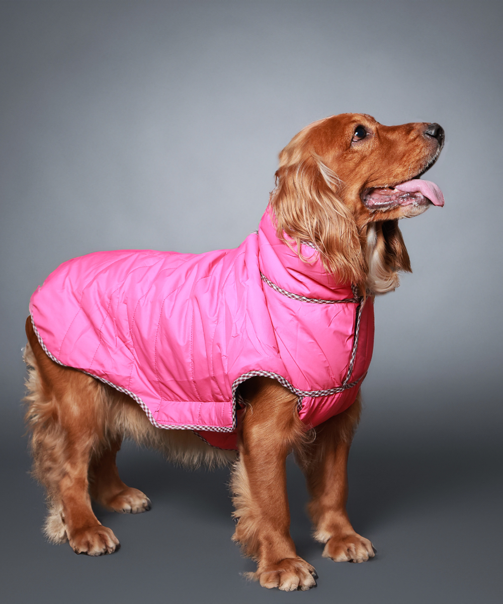 Pet Set Go Wind Sheeter Jackets for Dogs (Pink)