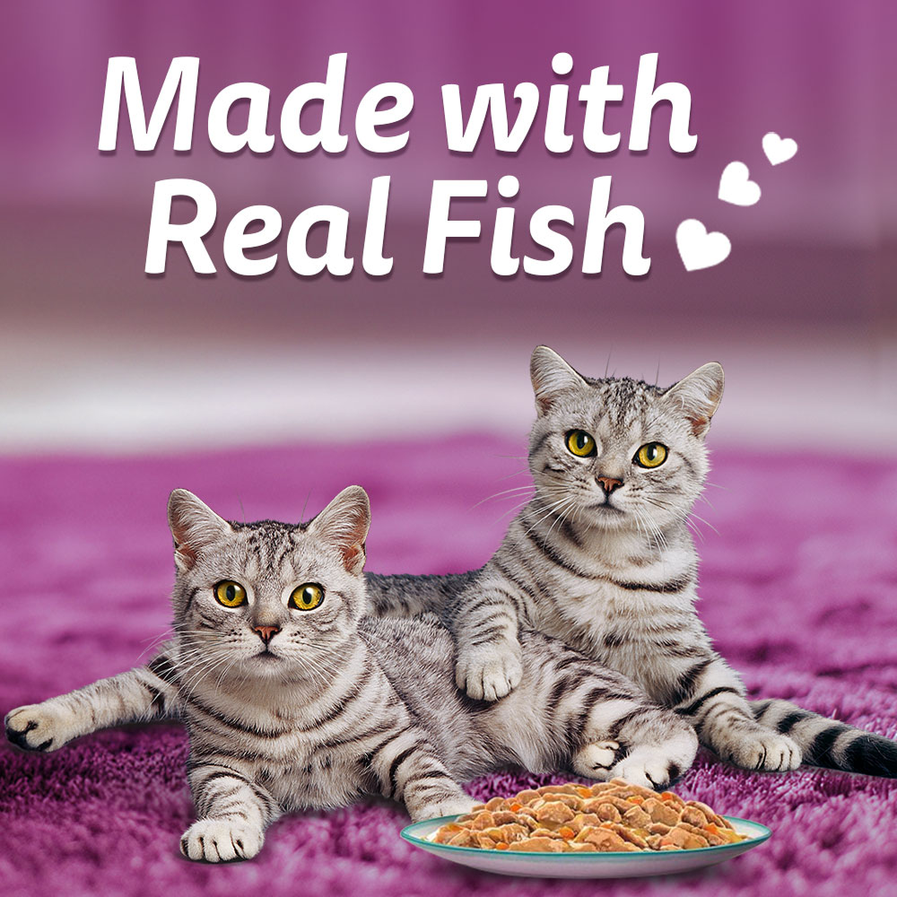 Whiskas Adult Wet Cat Food Combo |Chicken, Tuna & Seafood (Jelly & Gravy)