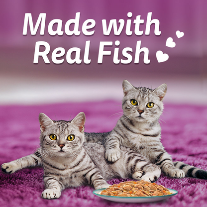Whiskas Adult Wet Cat Food Combo |Chicken, Tuna & Seafood (Jelly & Gravy)
