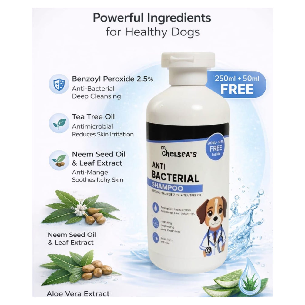 Dr. Chelsea’s Anti Bacterial Shampoo for Dogs & Cats