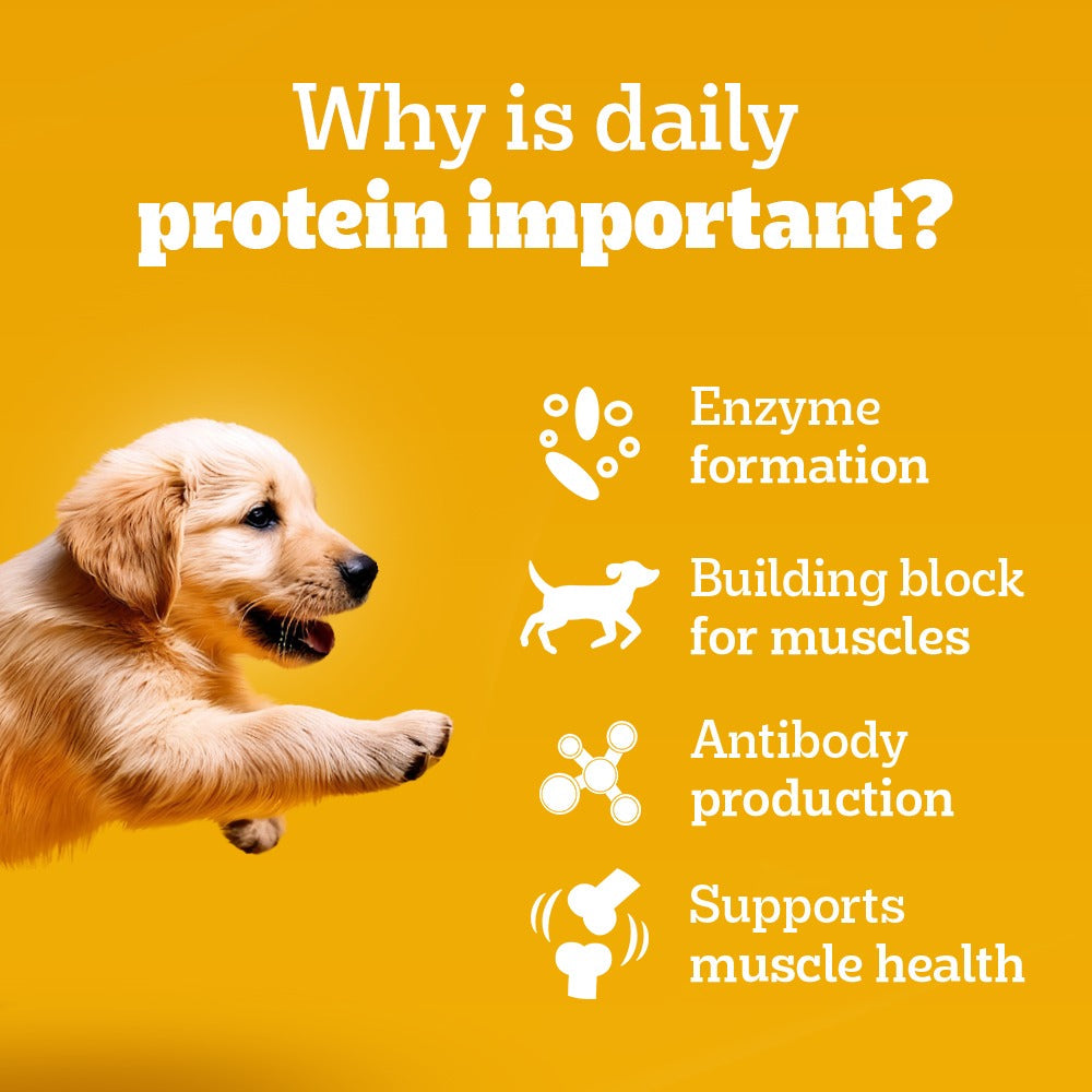 Pedigree Puppy Dog Food Combo |Meat & Milk Dry & Chicken & Liver Wet