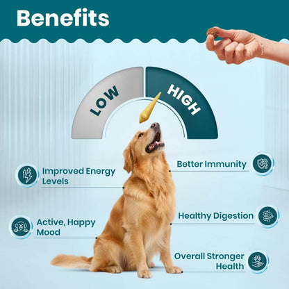 TailsAlive Chicken Flavour Multivitamin Soft Chews Supplement for Dogs