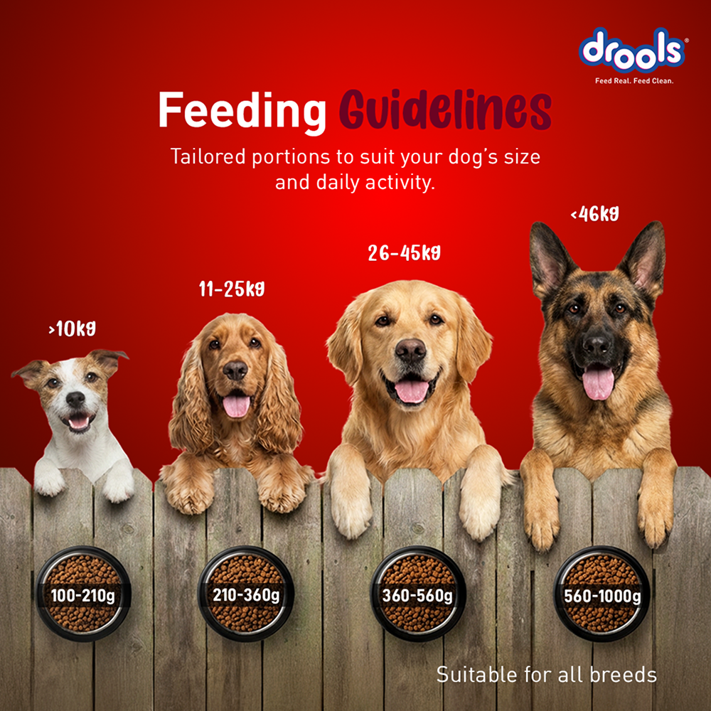 Drools Lamb and Rice Adult Dog Dry Food