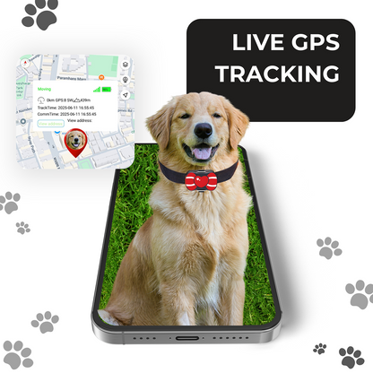 FeTaca PB1 Smart 4G GPS Waterproof Collar with Bow Tracker with 12months Free Tracking & App Subscription for Dogs and Cats (Red)