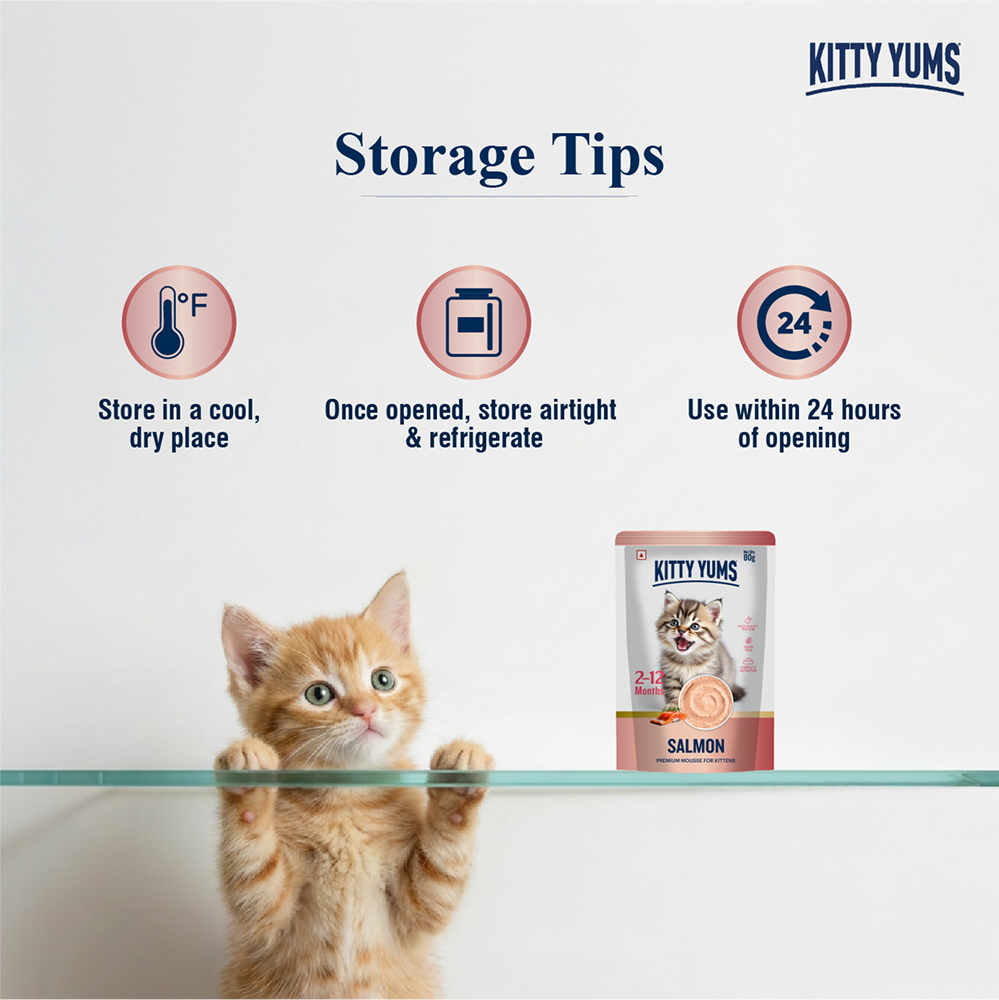 Kitty Yum Salmon Mousse Kitten Cat Wet Food