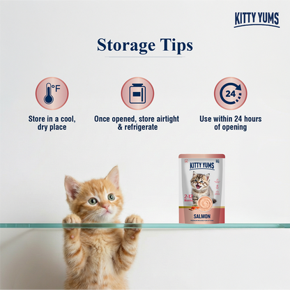 Kitty Yum Salmon Mousse Kitten Cat Wet Food