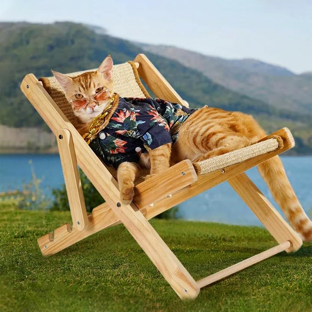Skatrs Cat Lounger for Cats and Kittens