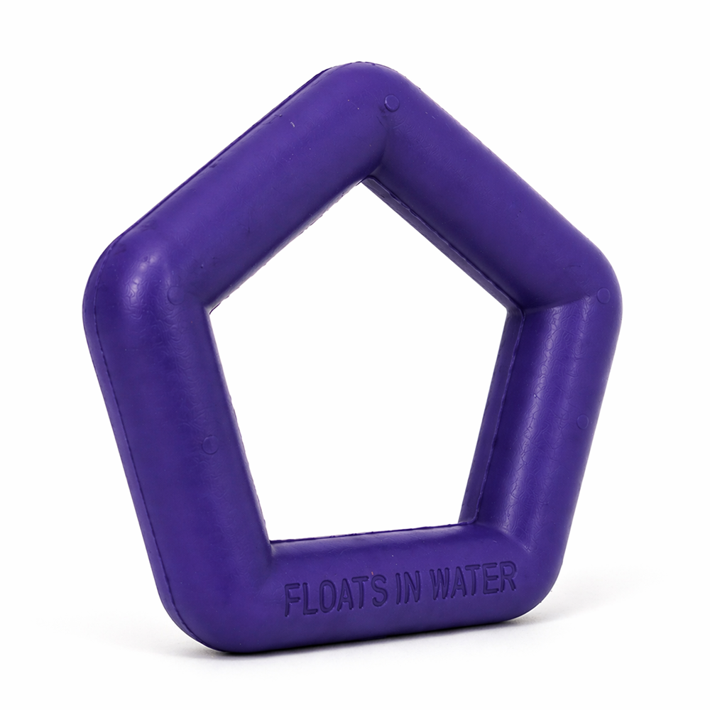 Talking Dog Club Sturdy Hexagon Floater Chew Toy for Dogs (Purple)