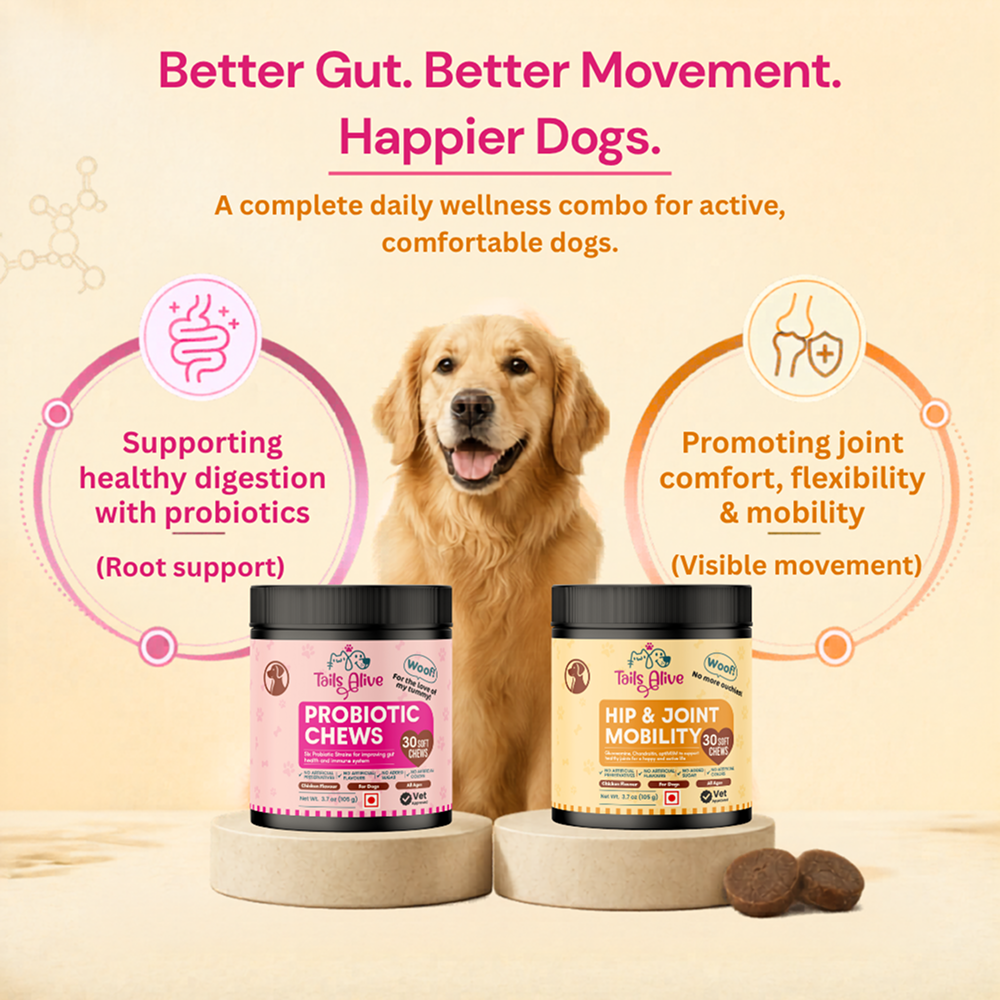 TailsAlive Hip & Joint, Probiotic Chicken Chews Comfort & Mobility Combo for Senior Dogs