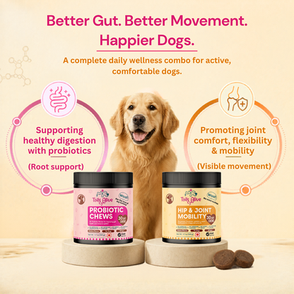 TailsAlive Hip & Joint, Probiotic Chicken Chews Comfort & Mobility Combo for Senior Dogs
