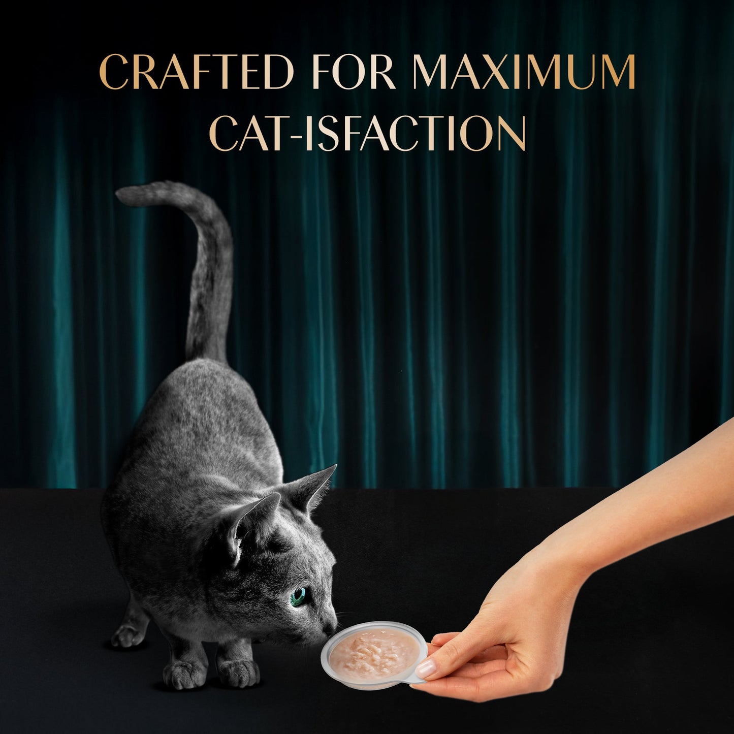 Sheba Melty Spoons Creamy Chicken & Chicken Shred Lickable Creamy Cat Treats