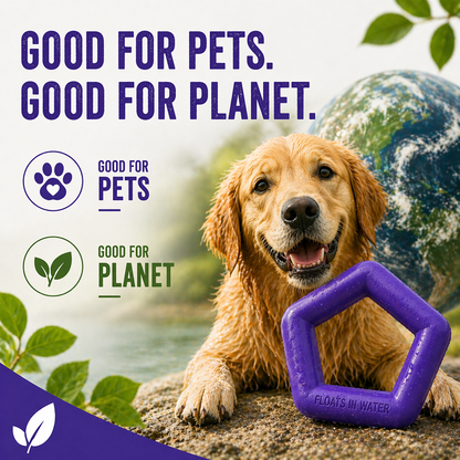Talking Dog Club Sturdy Hexagon Floater Chew Toy for Dogs (Purple)