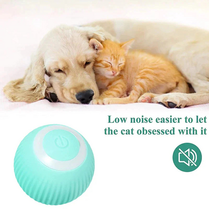 Healing Leaf 360 Degree Rotatable Interactive Toys for Dogs and Cats (Blue)