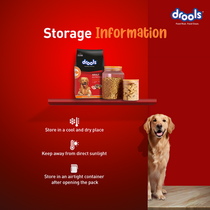 Drools Turkey and Pumpkin Adult Dog Dry Food