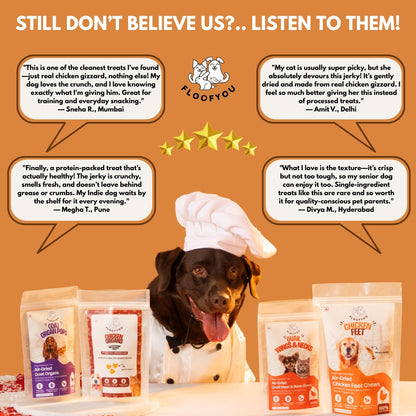 Floofyou Air Dried High Protein Chicken Gizzard Jerky Dog and Cat Treats