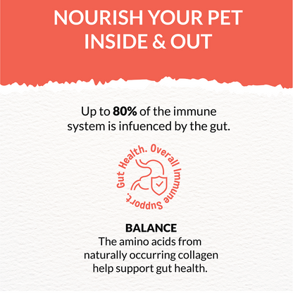 Goofy Tails Lamb Bone Broth for Dogs