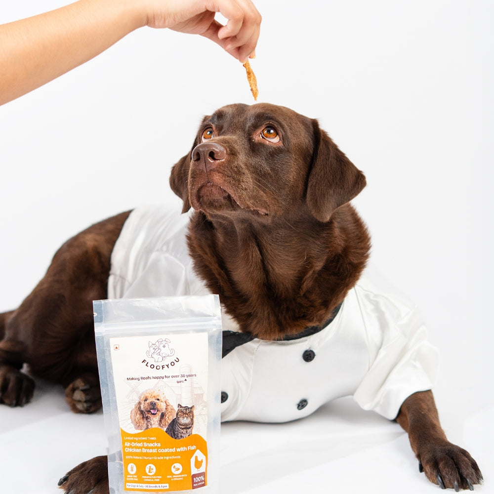 Floofyou Air Dried High Protein Chicken with Fish Jerky Dog and Cat Treats