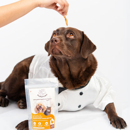 Floofyou Air Dried High Protein Chicken with Fish Jerky Dog and Cat Treats