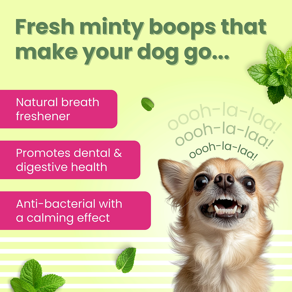 Bark Out Loud by Vivaldis Grain Free Chicken Dental Chews Dog Treats