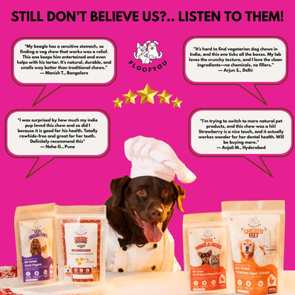 Floofyou Sun Dried Pure Veg Strawberry Yak Dental Dog Treats