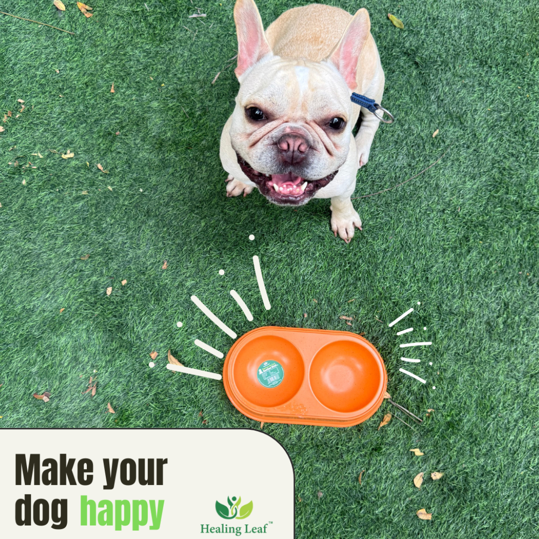 Healing Leaf Eco Friendly Dual Bamboo Bowl for Dogs and Cats (Orange)